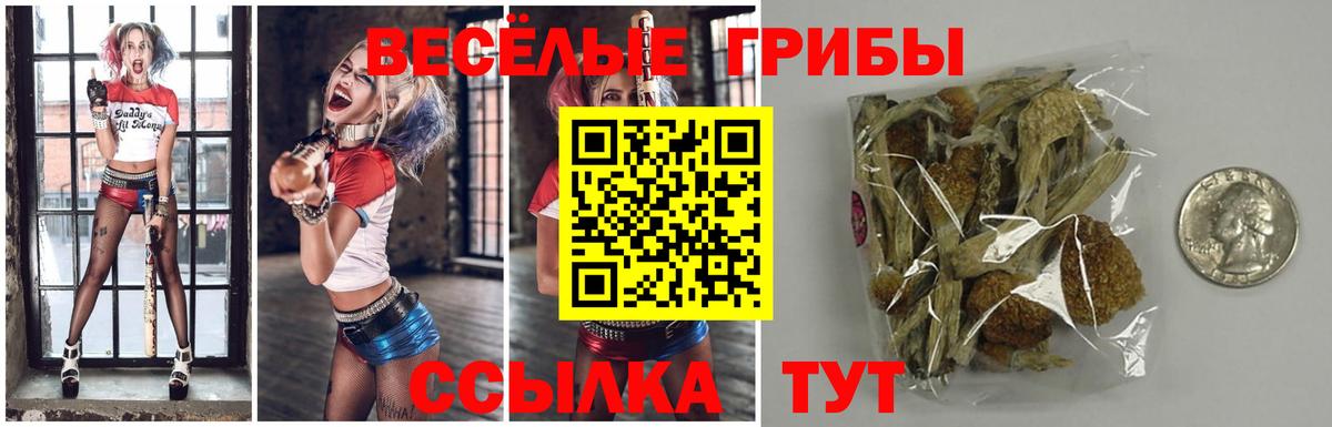 Галлюциногенные грибы Psilocybe Волжск